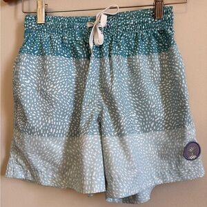 Chubbies Classic Swim Trunks Size XS